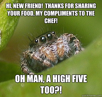 Hi, new friend!  Thanks for sharing your food, my compliments to the chef! Oh man, a high five too?!  Misunderstood Spider