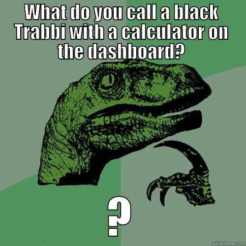 WHAT DO YOU CALL A BLACK TRABBI WITH A CALCULATOR ON THE DASHBOARD? ? Philosoraptor