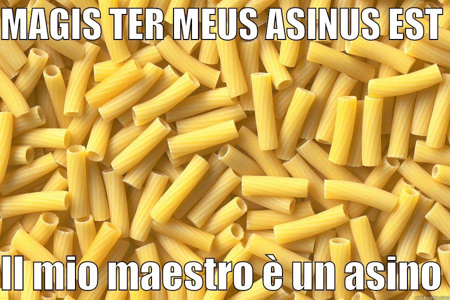 MAGIS TER MEUS ASINUS EST   IL MIO MAESTRO È UN ASINO Misc