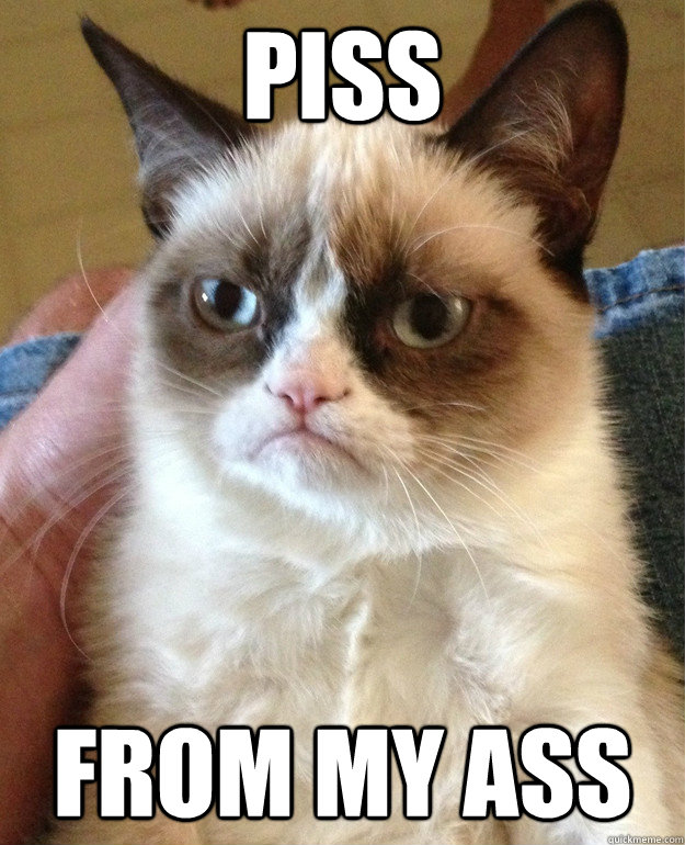 PISS FROM MY ASS  Grumpy Cat