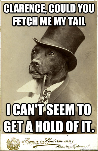 Clarence, could you fetch me my tail i can't seem to get a hold of it. - Clarence, could you fetch me my tail i can't seem to get a hold of it.  Old Money Dog