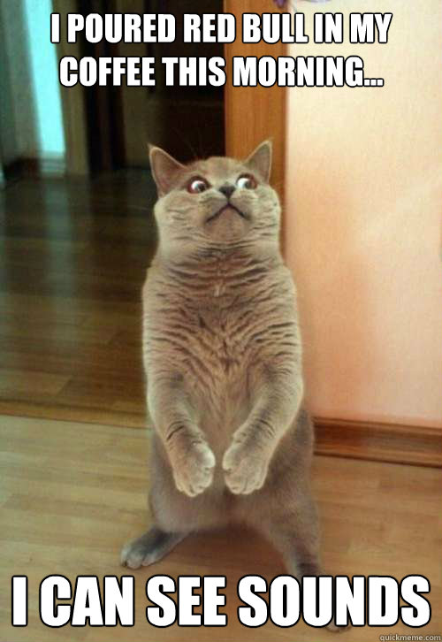 I poured red bull in my coffee this morning... I CAN SEE SOUNDS  Horrorcat