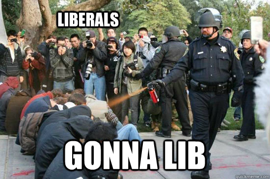 liberals gonna lib - liberals gonna lib  THIS MEME KILLS FASCISTS - pepper spraying cop