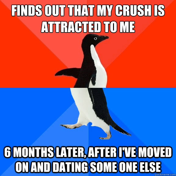 Finds out that my crush is attracted to me 6 months later, after i've moved on and dating some one else  Socially Awesome Awkward Penguin