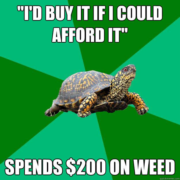 turtle funny meme