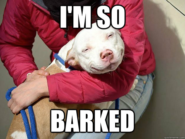 i'm so  barked - i'm so  barked  10 Dog
