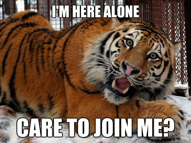 I'm here alone Care to join me? - I'm here alone Care to join me?  Fascinated Tiger