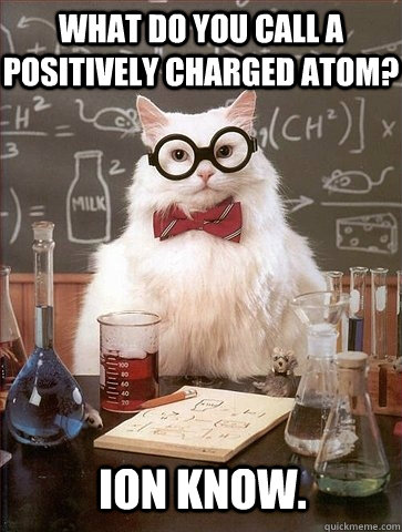 What do you call a positively charged atom? Ion know.  Chemistry Cat