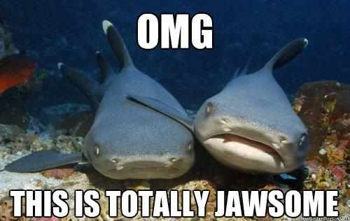 OMG THIS IS TOTALLY JAWSOME  Compassionate Shark Friend