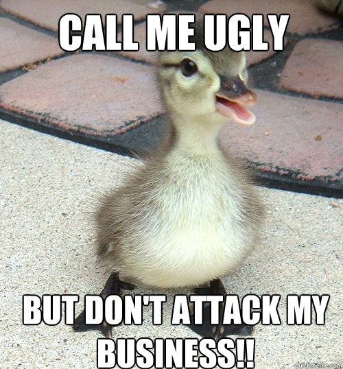 Call me ugly But don't attack my business!!  ugly duckling