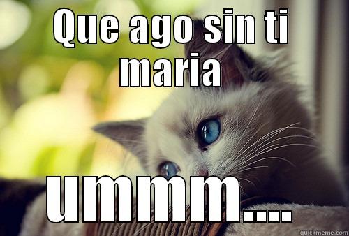 QUE AGO SIN TI MARIA UMMM.... First World Problems Cat