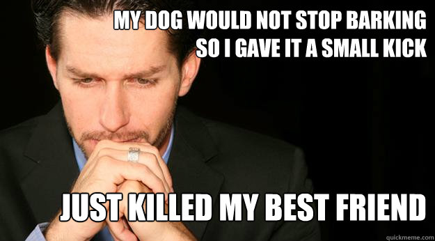 My dog would not stop barking so i gave it a small kick just killed my best friend  