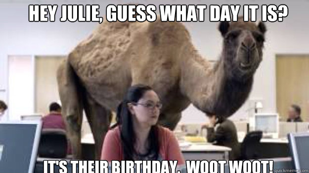 Hey Julie, guess what day it is? It's their birthday.  WOOT WOOT! - Hey Julie, guess what day it is? It's their birthday.  WOOT WOOT!  camel