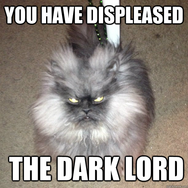 you have displeased  the dark lord - you have displeased  the dark lord  Cat of Infernal Evil