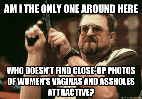 Am I the only one around here who doesn't find close-up photos of women's vaginas and assholes attractive?  Am I the only one
