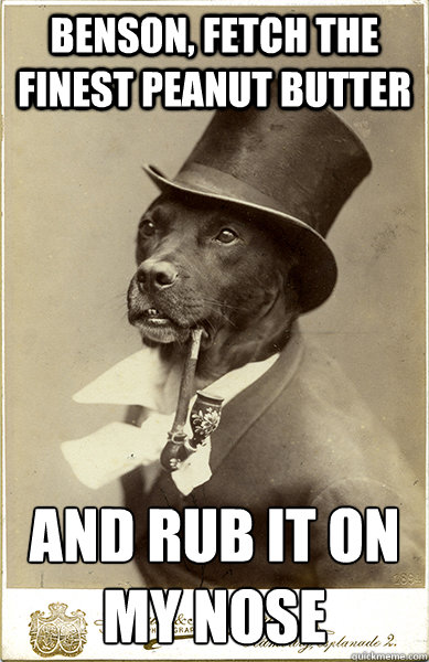 Benson, fetch the finest peanut butter and rub it on my nose  - Benson, fetch the finest peanut butter and rub it on my nose   Old Money Dog