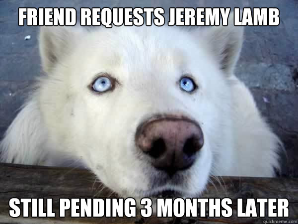 friend requests jeremy lamb still pending 3 months later - friend requests jeremy lamb still pending 3 months later  Socially Awkward Husky