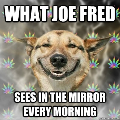 What Joe Fred Sees in the mirror every morning  Stoner Dog