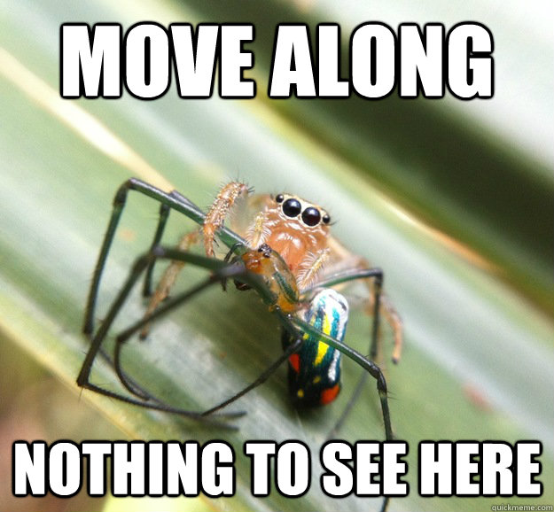 Move along nothing to see here  Move Along Spider