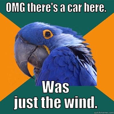 OMG THERE'S A CAR HERE. WAS JUST THE WIND. Paranoid Parrot
