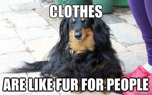 Clothes are like fur for people  