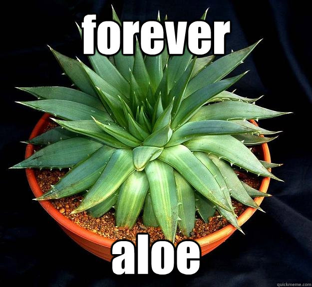 forever aloe  