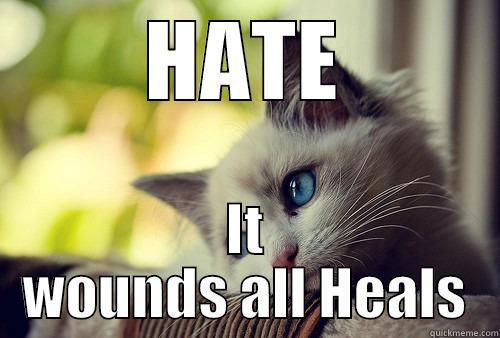 HATE IT WOUNDS ALL HEALS First World Problems Cat
