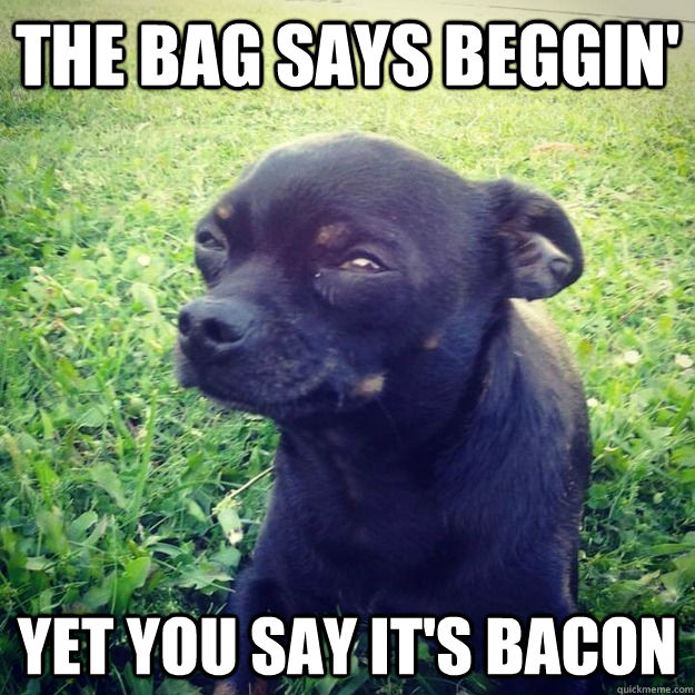 The bag says beggin' yet you say it's bacon - The bag says beggin' yet you say it's bacon  Skeptical Dog