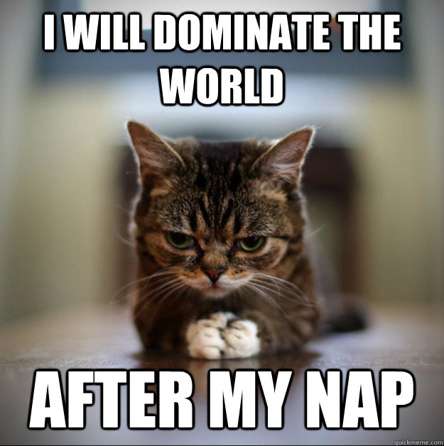 I will dominate the world AFter my nap - I will dominate the world AFter my nap  World Domination Kitty