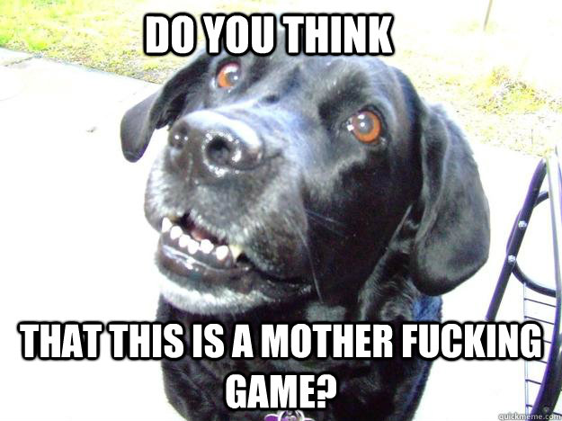 do you think that this is a mother fucking game?  Stare dog
