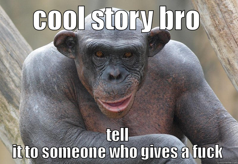 COOL STORY BRO TELL IT TO SOMEONE WHO GIVES A FUCK Misc