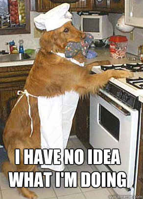 I have no idea what I'm doing - I have no idea what I'm doing  Chef Dog