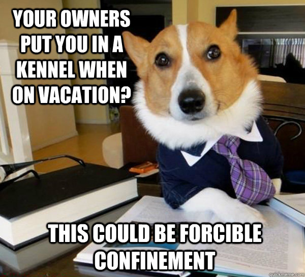 Your owners put you in a kennel when on vacation? This could be Forcible Confinement  - Your owners put you in a kennel when on vacation? This could be Forcible Confinement   Lawyer Dog