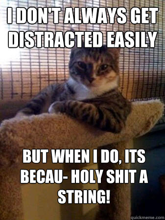 I don't always get distracted easily But when i do, its becau- HOLY SHIT A STRING! - I don't always get distracted easily But when i do, its becau- HOLY SHIT A STRING!  The Most Interesting Cat in the World