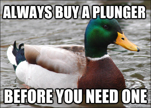 always buy a plunger before you need one  Actual Advice Mallard