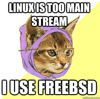Linux is too main stream I use freebsd  Hipster Kitty