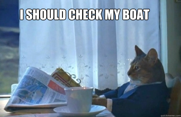 I should check my boat  Sophisticated Cat