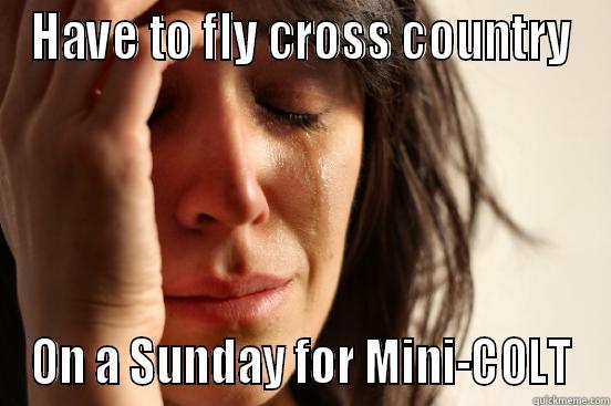 HAVE TO FLY CROSS COUNTRY ON A SUNDAY FOR MINI-COLT First World Problems