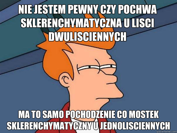 Nie jestem pewny czy pochwa sklerenchymatyczna u lisci dwulisciennych ma to samo pochodzenie co mostek sklerenchymatyczny u jednolisciennych  Futurama Fry