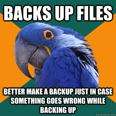 Backs up files better make a backup just in case something goes wrong while backing up  Paranoid Parrot