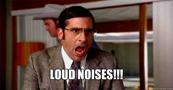 Loud Noises!!!  