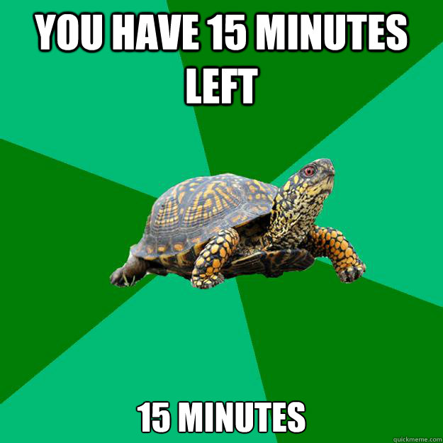You have 15 minutes left 15 minutes - You have 15 minutes left 15 minutes  Torrenting Turtle