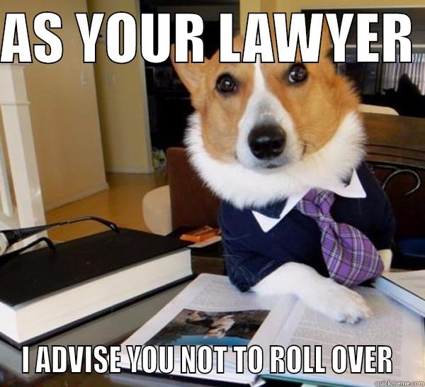 AS YOUR LAWYER  I ADVISE YOU NOT TO ROLL OVER  Lawyer Dog