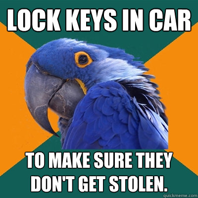 Lock keys in cAR TO MAKE SURE THEY DON'T GET STOLEN.  Paranoid Parrot