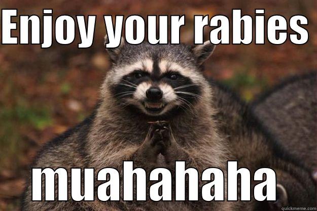ENJOY YOUR RABIES  MUAHAHAHA Evil Plotting Raccoon