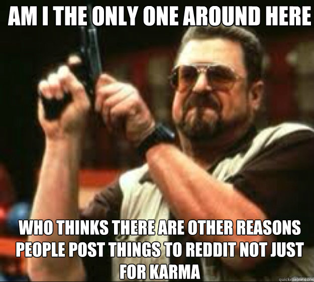 Am i the only one around here WHO THINKS THERE ARE OTHER REASONS PEOPLE POST THINGS TO REDDIT NOT JUST FOR KARMA  Angey Walter