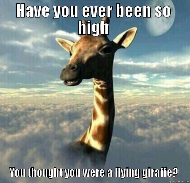 HAVE YOU EVER BEEN SO HIGH YOU THOUGHT YOU WERE A FLYING GIRAFFE? Misc