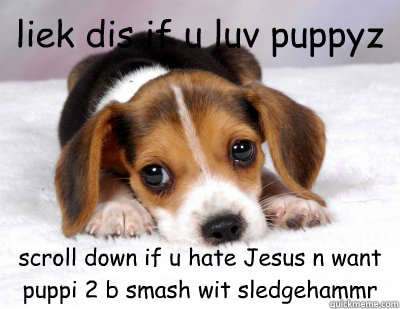 liek dis if u luv puppyz scroll down if u hate Jesus n want puppi 2 b smash wit sledgehammr - liek dis if u luv puppyz scroll down if u hate Jesus n want puppi 2 b smash wit sledgehammr  the Facebook