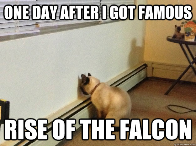 One day after i got famous rise of the falcon  Regretful Cat