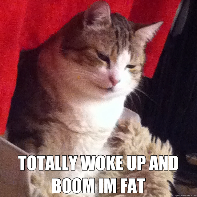  TOTALLY WOKE UP AND BOOM IM FAT -  TOTALLY WOKE UP AND BOOM IM FAT  drunk fat cat